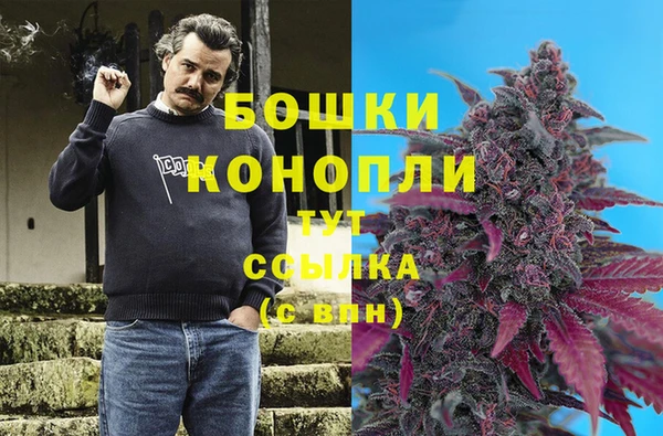 стафф Заволжск