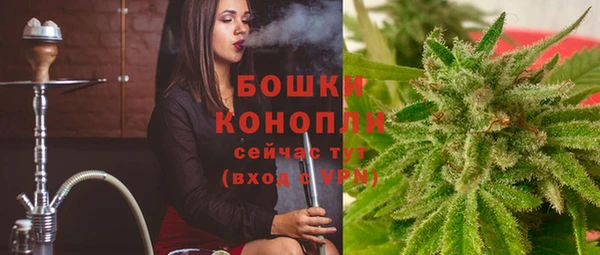 стафф Заволжск
