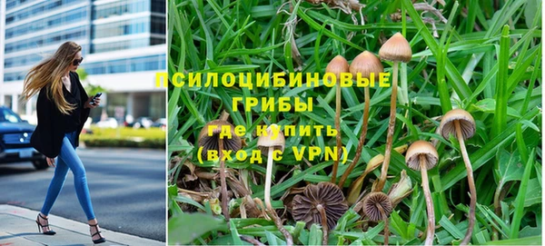 Альфа ПВП Заволжье