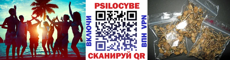 Купить  Вельск  Галлюциногенные грибы мухоморы 